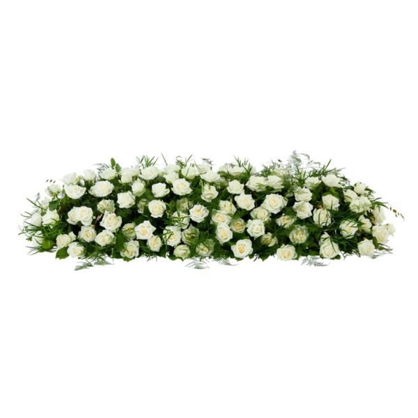 Witte rozen voor een begrafenis Pure rozen