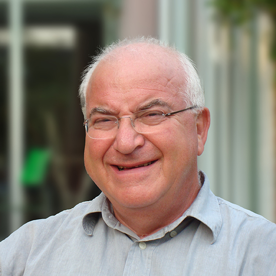 Hans Schendelaar